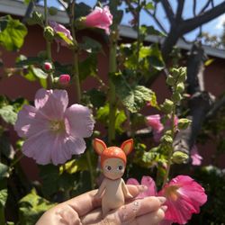 FAWN SONNY ANGEL 