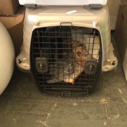 Large Dog Crate