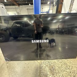 100 Inch Samsung Neo QLED TV Works But Damaged