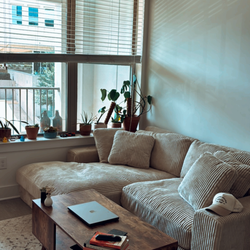 Wayfair Corduroy Cream Sectional