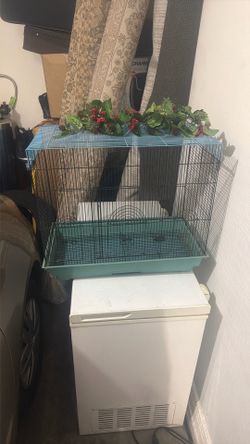 Bird Cage