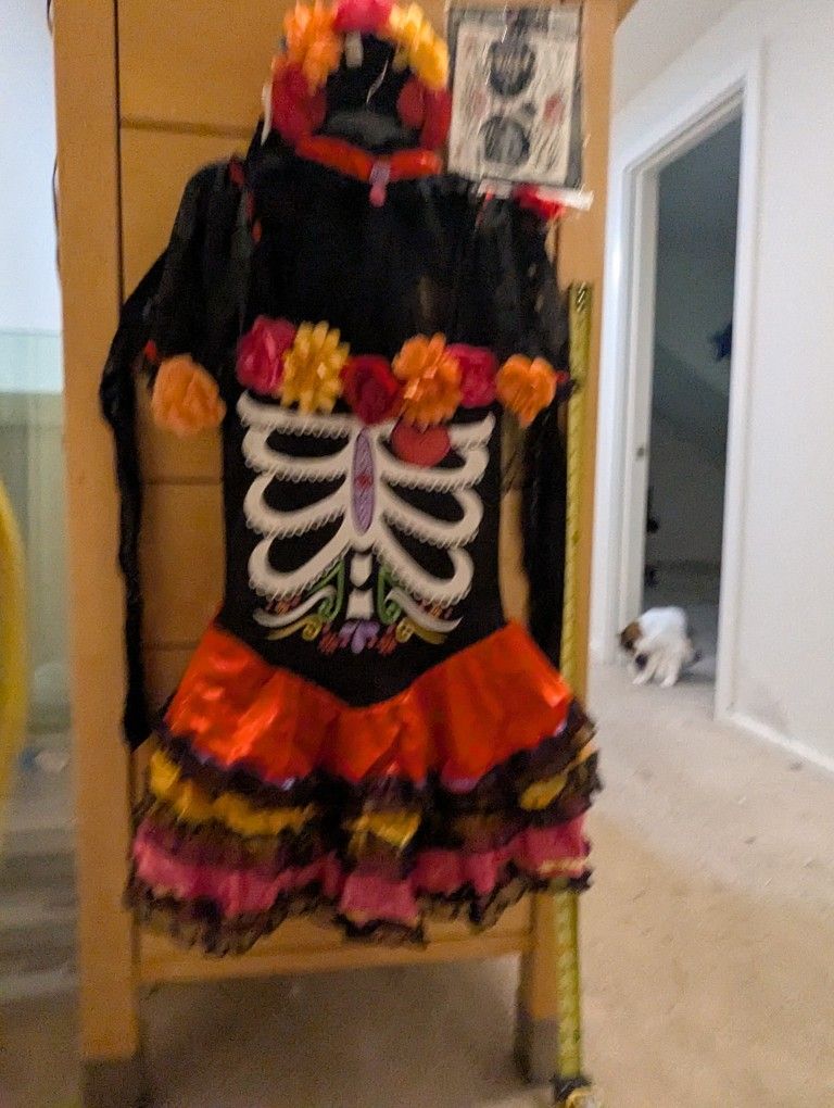 Fabulous Day of the Dead Halloween Costume