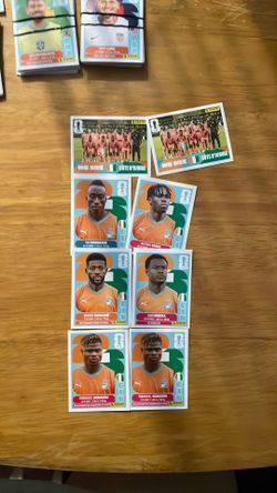 Ivory Coast panini sticker team