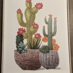 Cactus Arrangement Framed Canvas Art