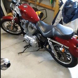 2007 Harley Davidson Sportster