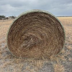 Hay bales