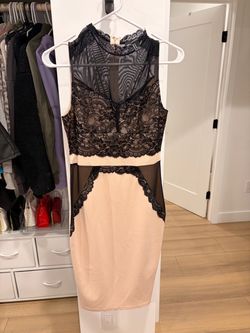 Black Lace and Blush Bodycon Mini Dress