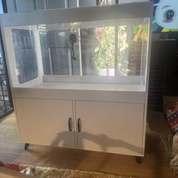 Brand New Hampster/Guiena Pig/Chinchilla Habitat