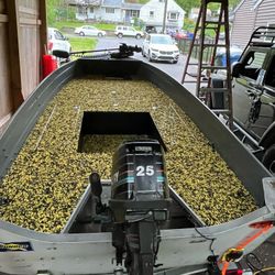 14’ Deep V Hull With 25hp 2stroke