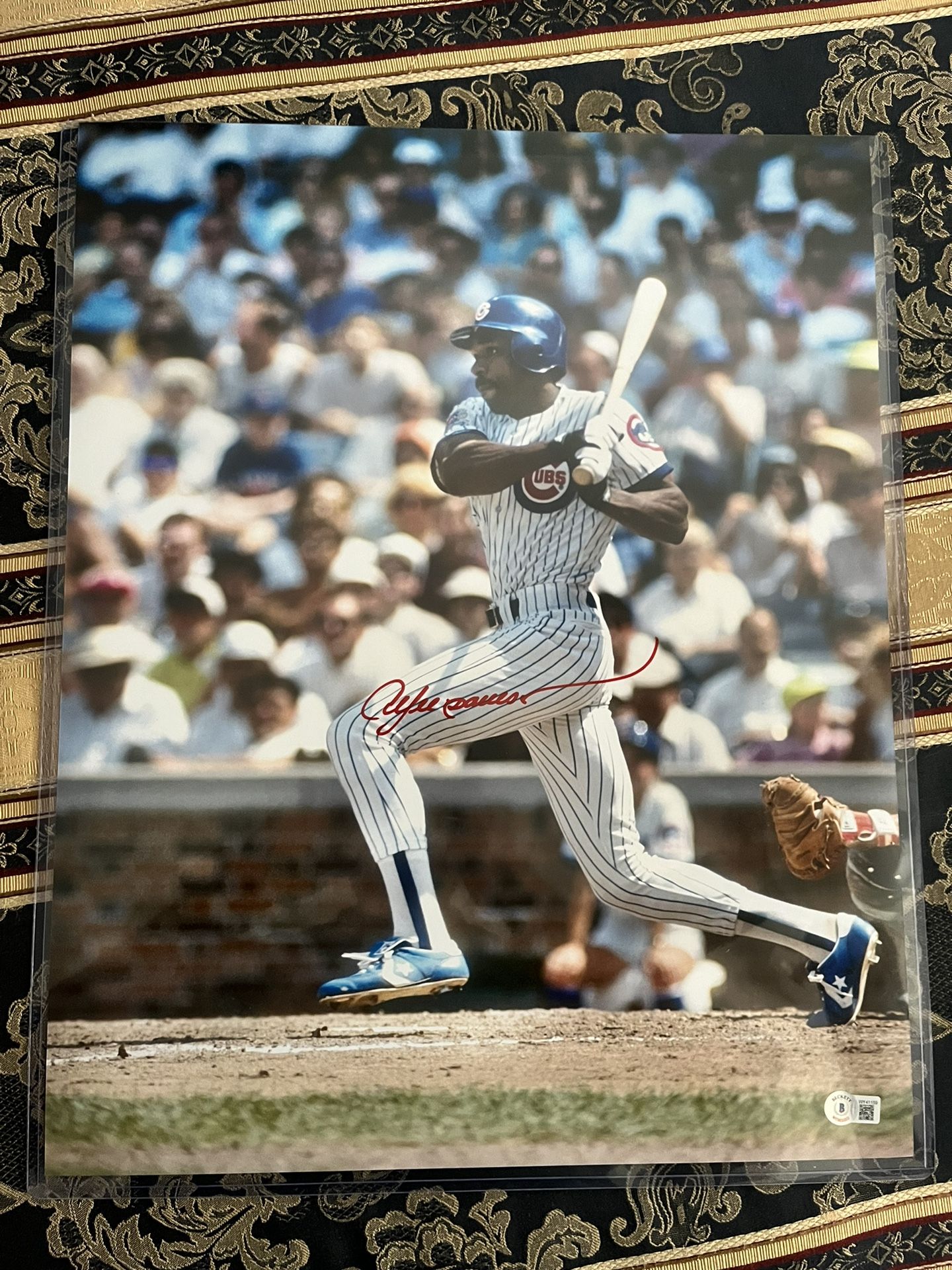 Andre Dawson 16x20 Picture,All Products : American Fashion Style Bags On Sale