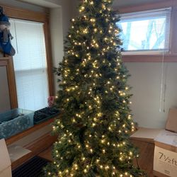 Slim Yuletide 7.5ft
