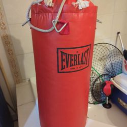 Everlast Punching Bag, Boxing Bag
