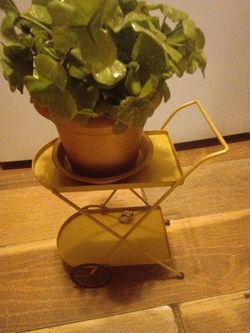 Nice plant holder