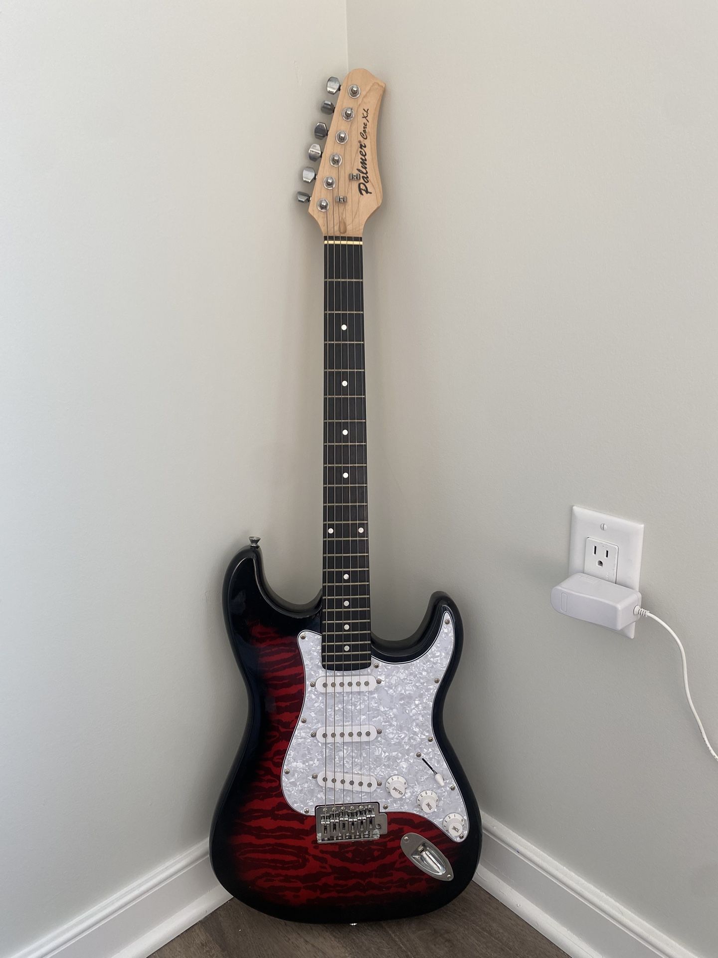Palmer Core XL Electric Guitar