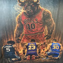 Chicago Bulls Personalized / Custom Shirts , Hoodies , Onesies , Sweatshirts / Sports