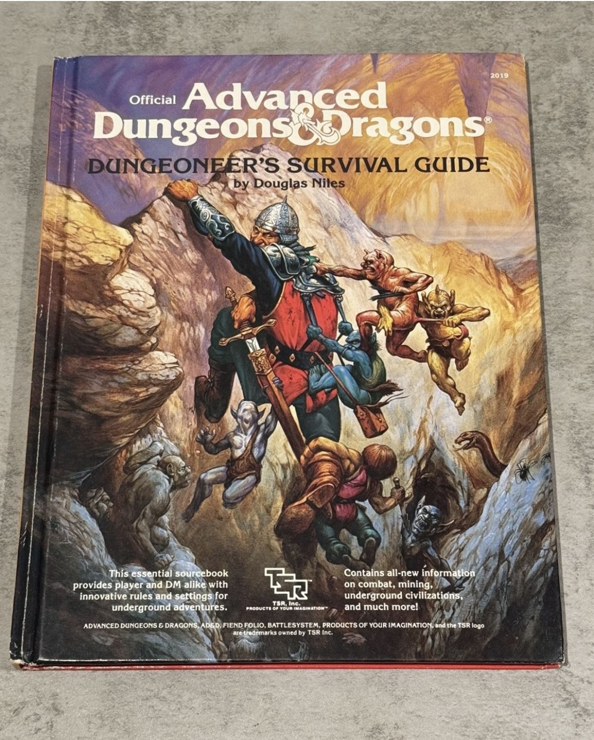 Advanced Dungeons and Dragons "Dungeoneer's Survival Guide" 1E (HC, 1986) D&D