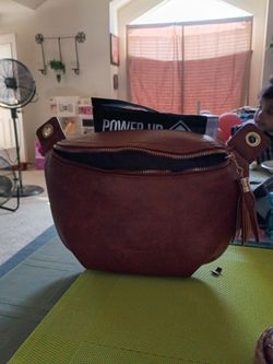 New Purse / Fannie Pack
