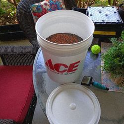 Bucket Of Bird Seed