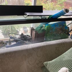 55 Gallon Fish Tank With All Accessories. (like New)