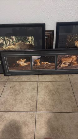 Wall Decorations
