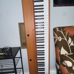 88 Key Digital Piano/keyboard 