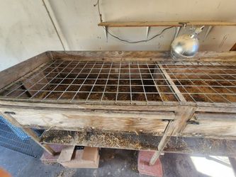 Large chick/animal grow out pen