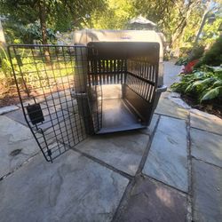 Dog Home 