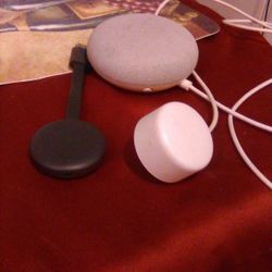 Google Speaker And Google Chrome Cast
