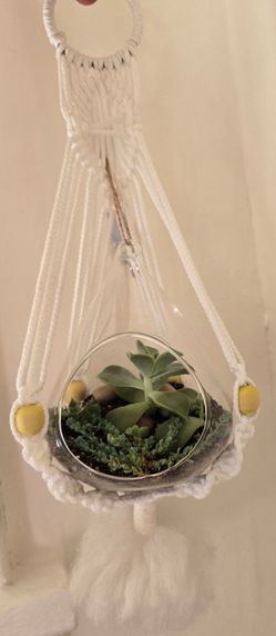 Macrame plant holder with a glass drop full of succulents HANDMADE $15 firm! Pick-up In Aurora.