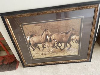 Large horse Picture