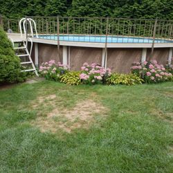 Pool Accessories