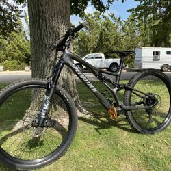 Specialized Stumpjumper