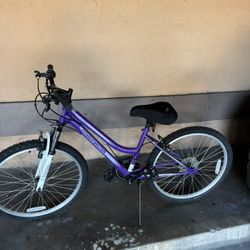 RoadMaster Bike 180$✅