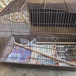 Bird Cage