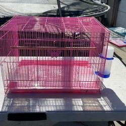 Bird Cage Pink 