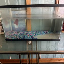10 gal fish tank 