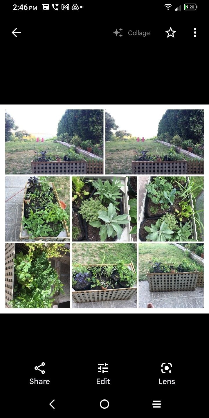 Mini Portable Garden With Screen