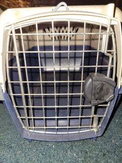 Pet Taxi