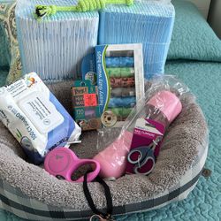 New Dog Items