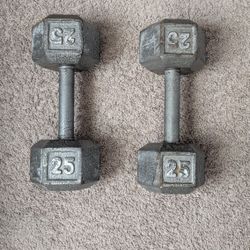 25lb Dumbbells