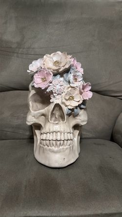 Skull