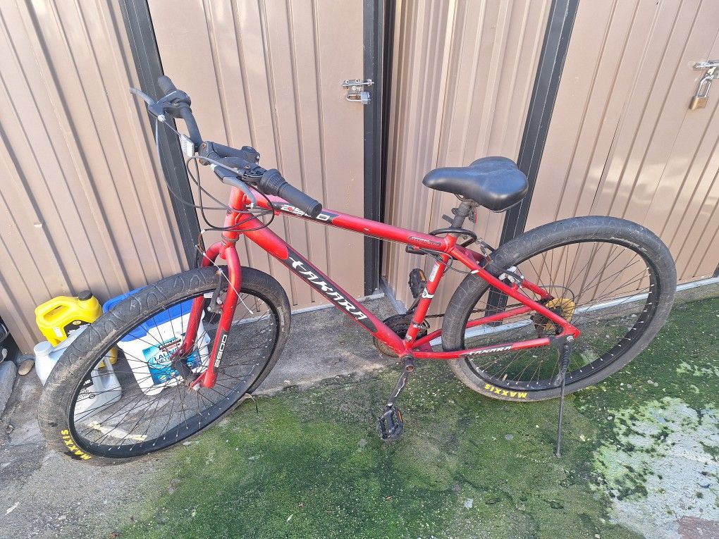 Takara T3 Fat Tire Bike 29"