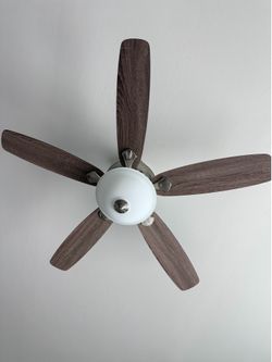 Ceiling Fans