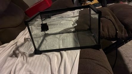 Lil fish tank