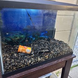 Fish Tanks And Stand 