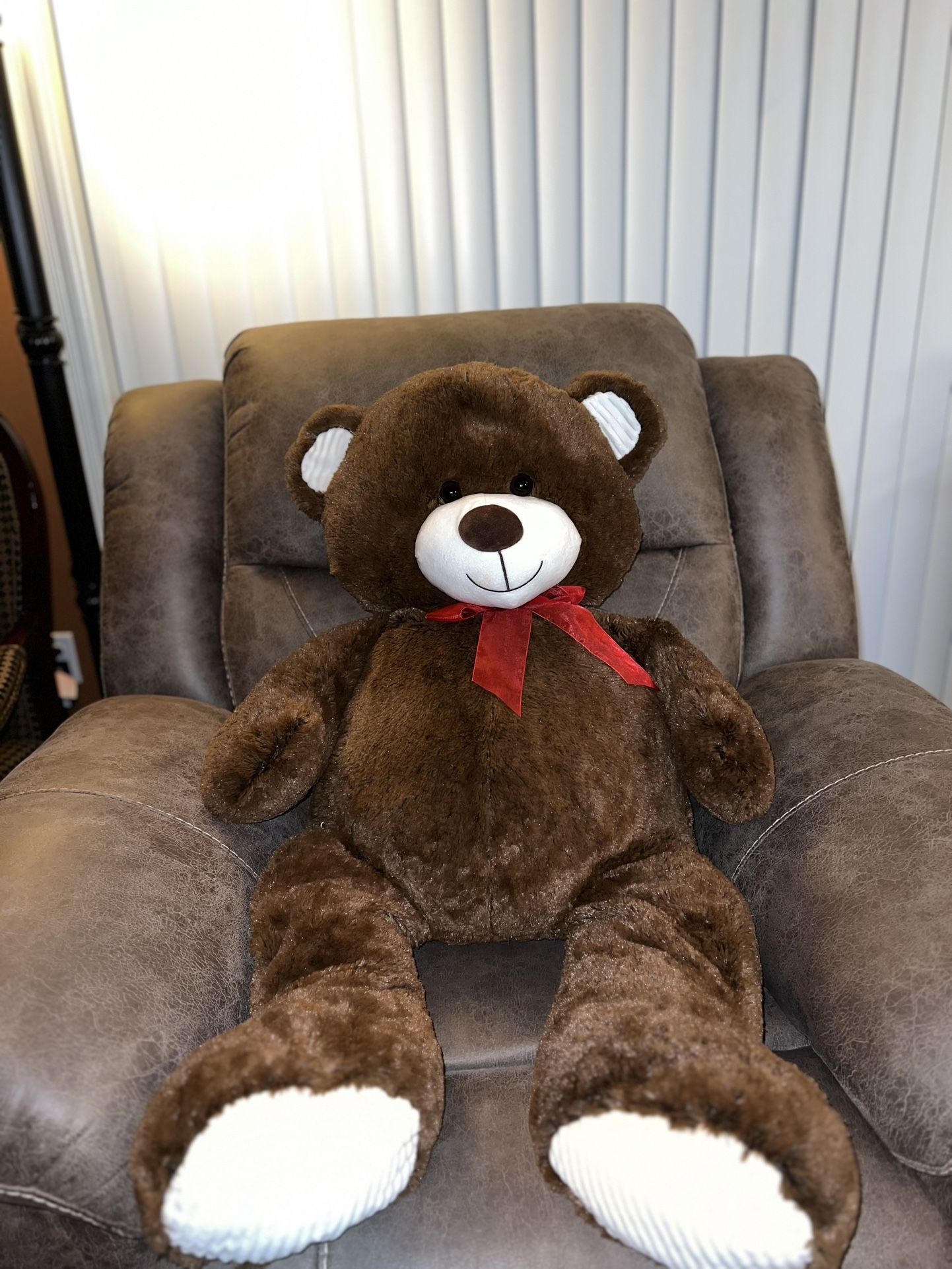 Big Teddy Bear