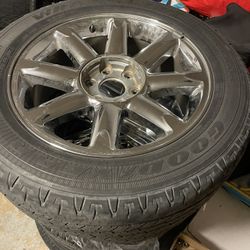 Denali Stocks 20’s 