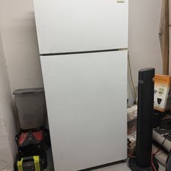 Garage Fridge