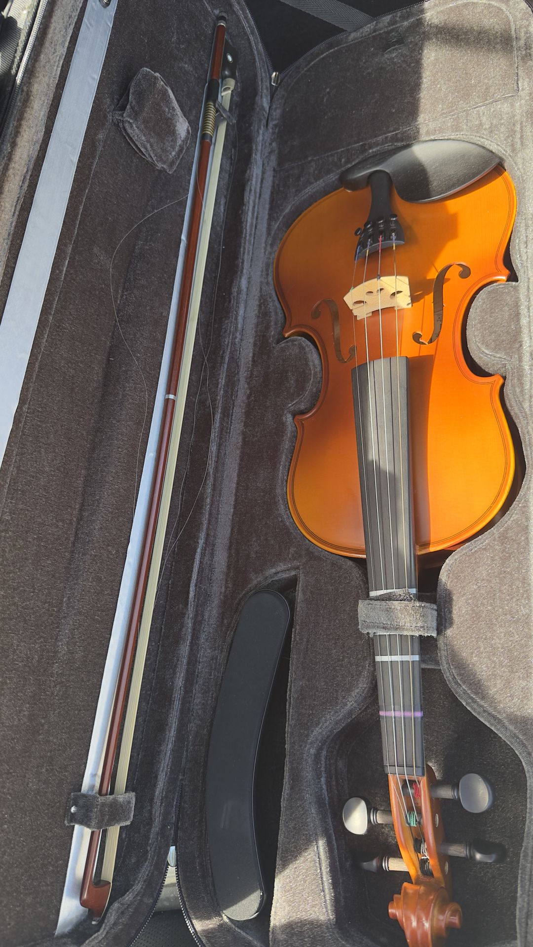 Violin