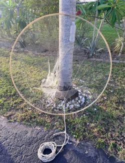 Bait Hoop Net Fiberglass 4ft